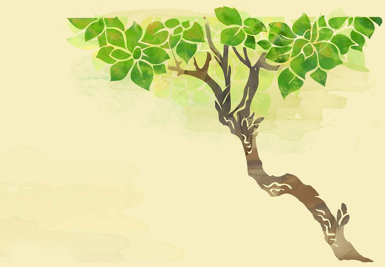 Tree illustration